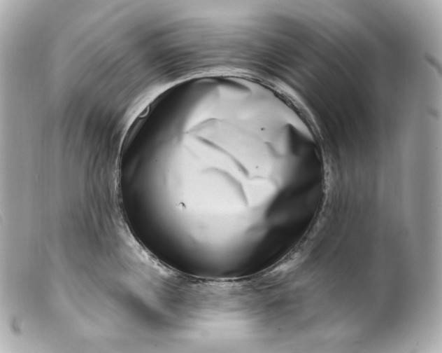 X0000099560860200805301540