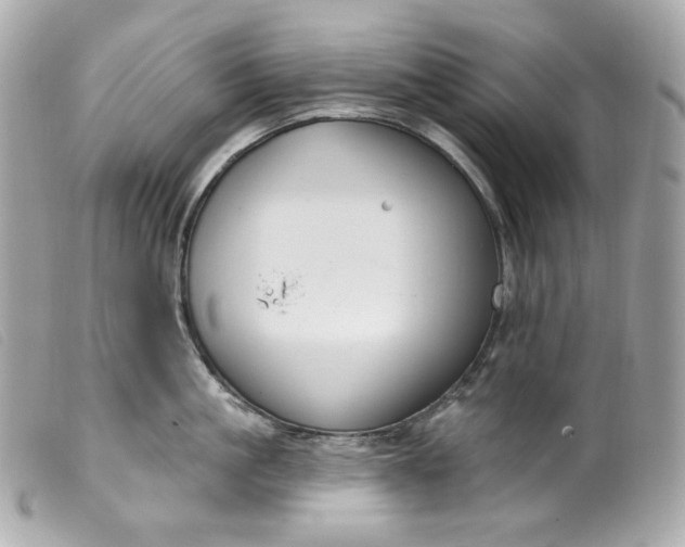 X0000099560861200805301540