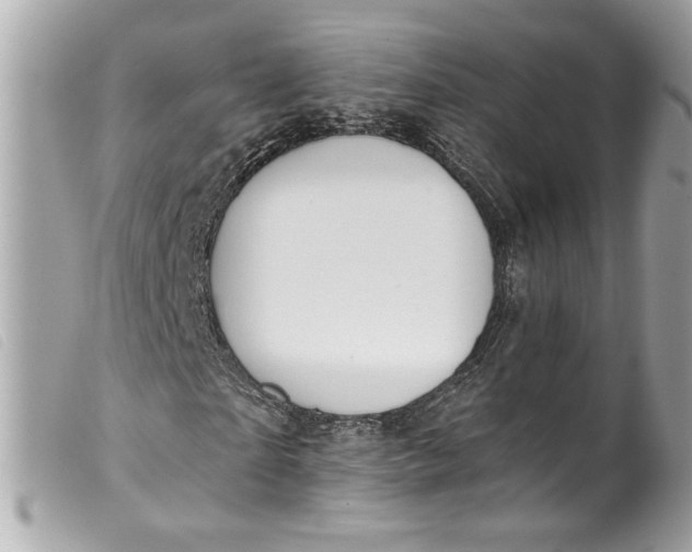 X0000099560865200805301539