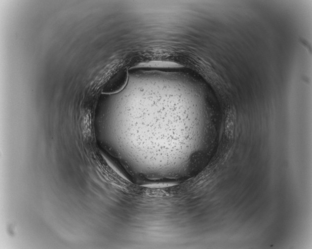 X0000099560866200805301539