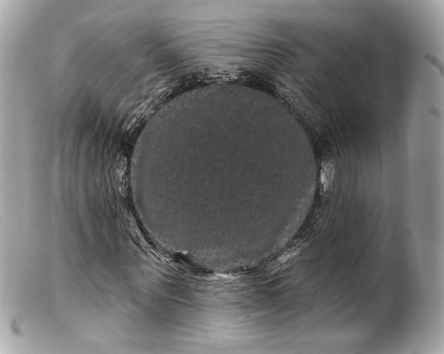 X0000099560867200805301539