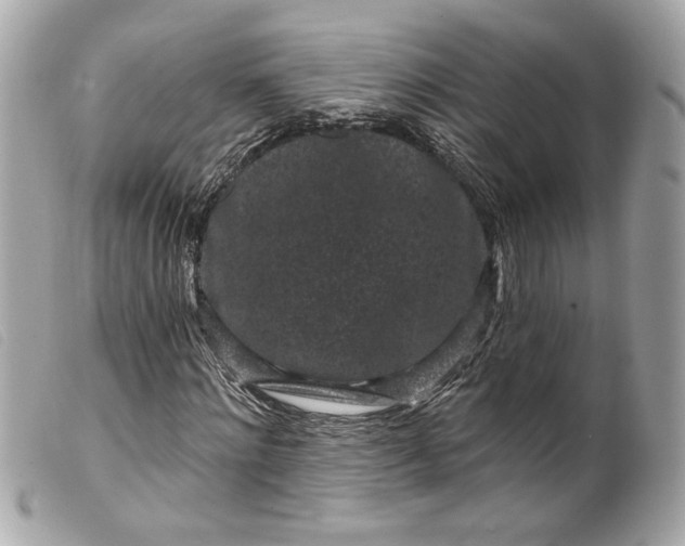 X0000099560868200805301539