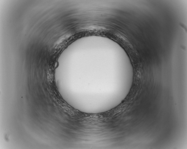 X0000099560869200805301539