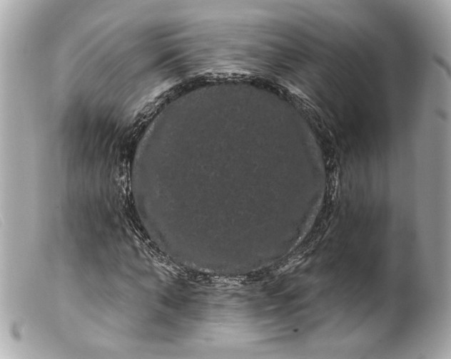 X0000099560870200805301539