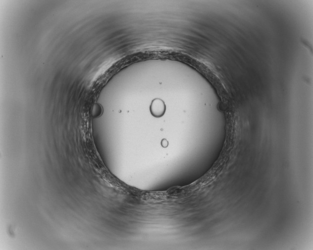 X0000099560871200805301539