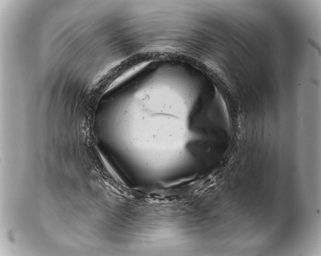 X0000099560872200805301539