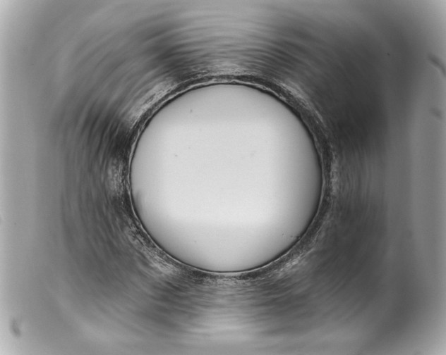 X0000099560873200805301539