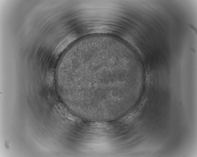 X0000099560874200805301539