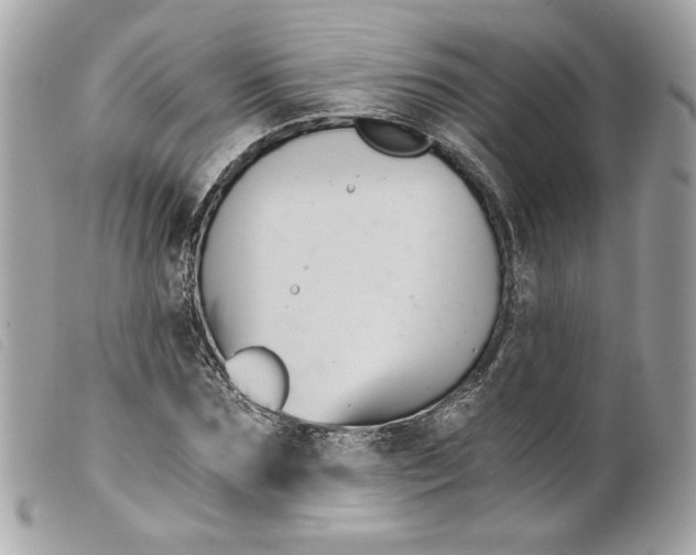 X0000099560875200805301539