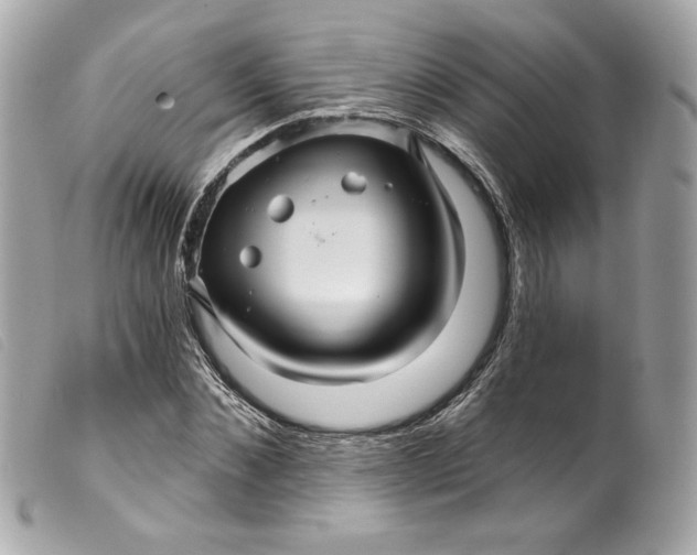 X0000099560876200805301539