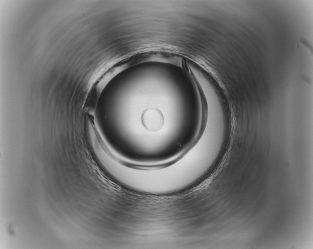 X0000099560877200805301539