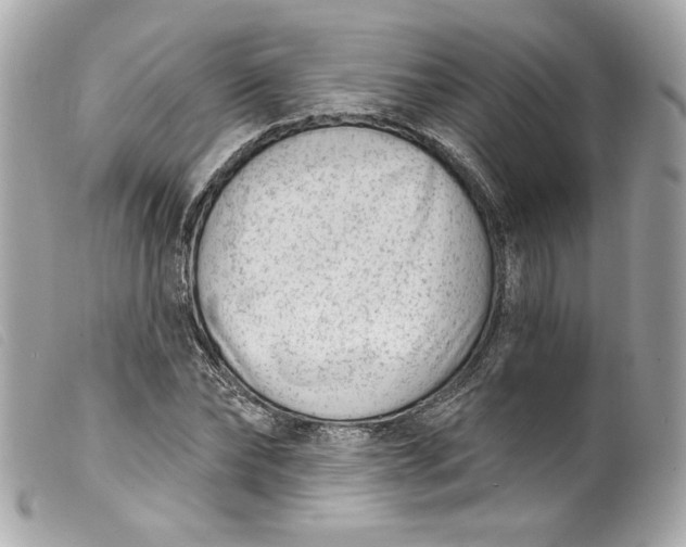 X0000099560878200805301539