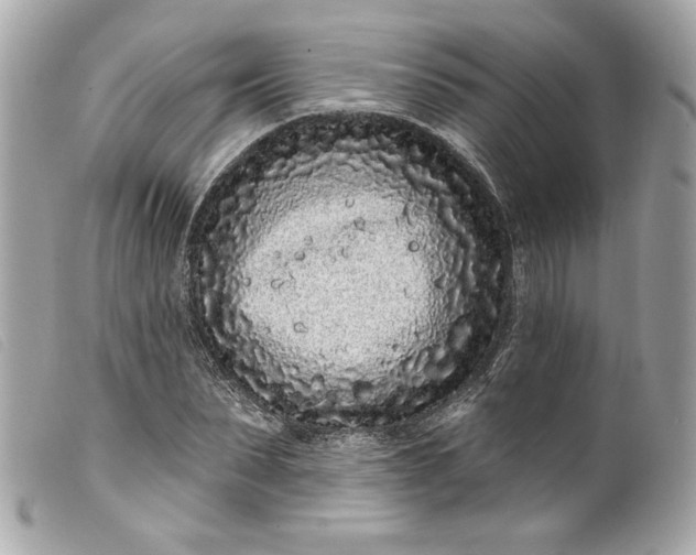 X0000099560879200805301539