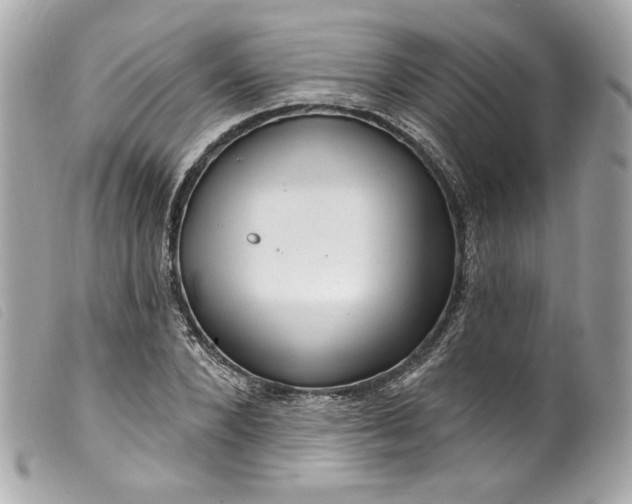 X0000099560880200805301539