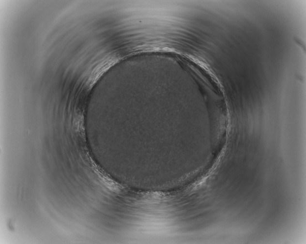 X0000099560881200805301539