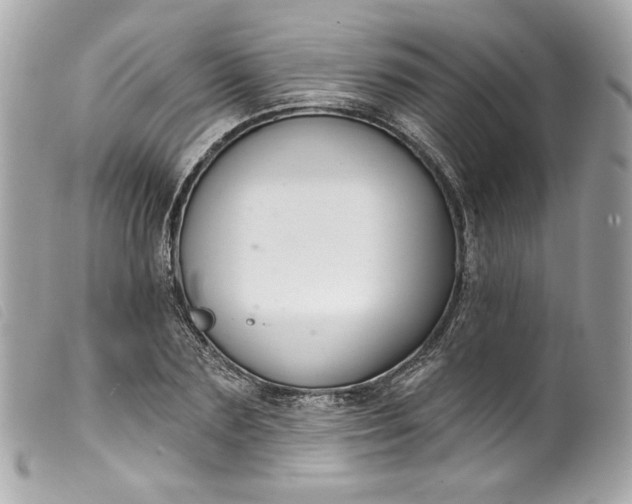 X0000099560883200805301539