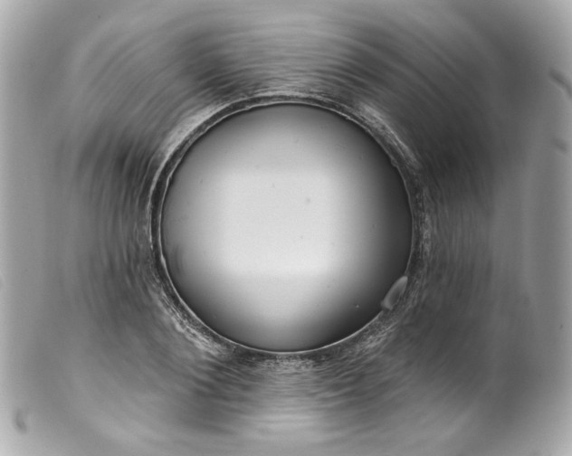 X0000099560884200805301539