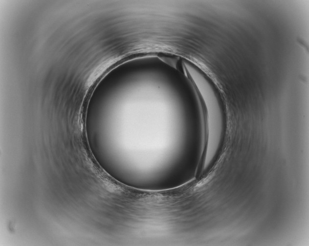 X0000099560885200805301539