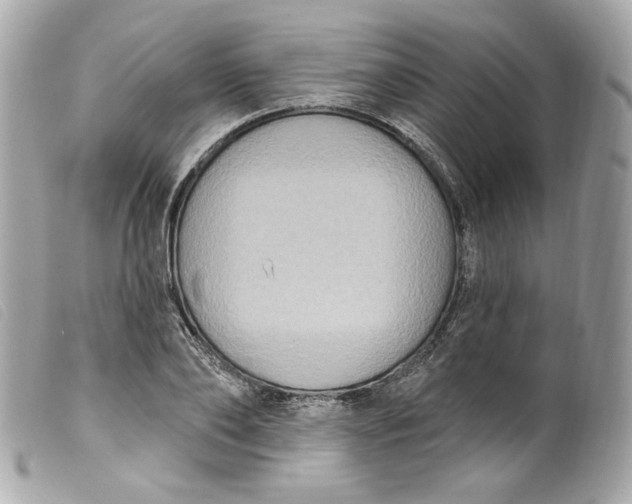 X0000099560886200805301539