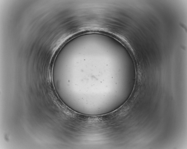 X0000099560887200805301539