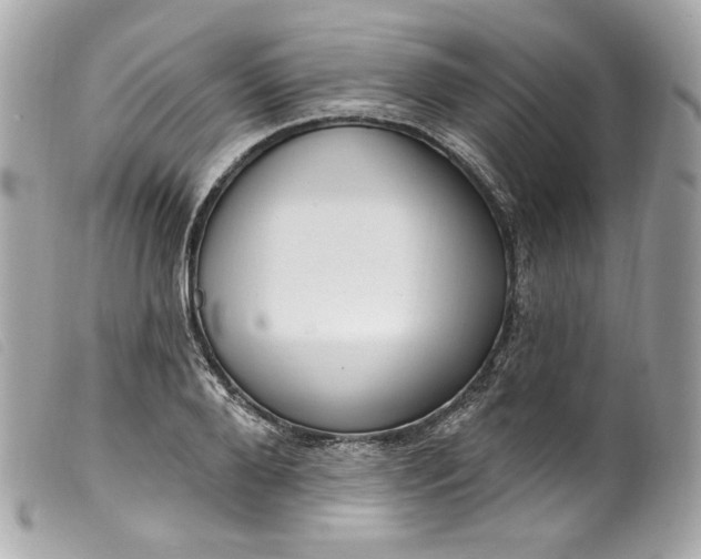 X0000099560888200805301539