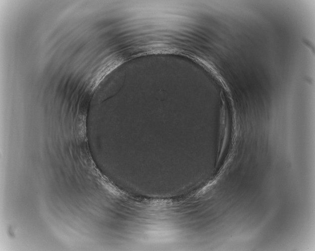 X0000099560889200805301539