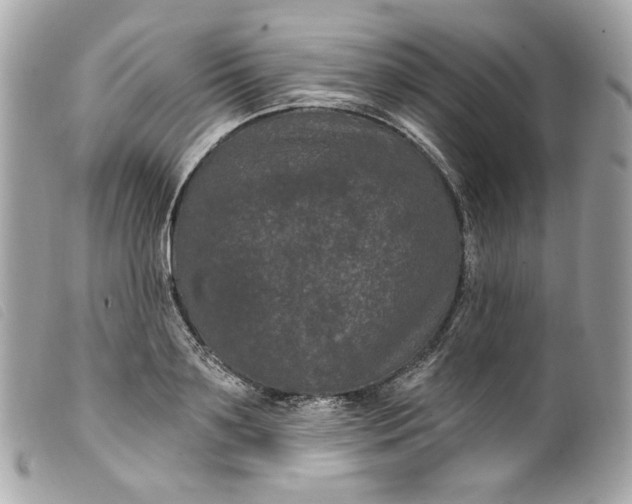 X0000099560891200805301539