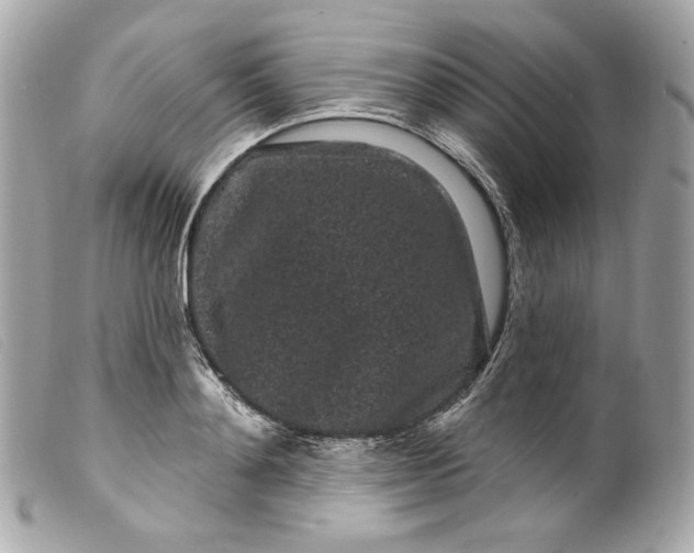 X0000099560892200805301539