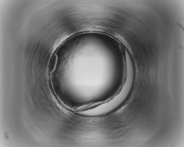 X0000099560893200805301539