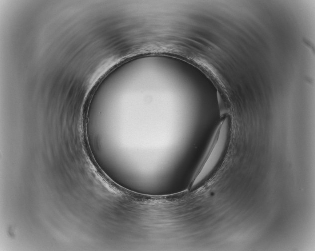 X0000099560894200805301539