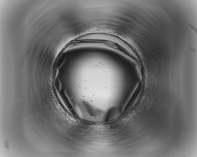 X0000099560896200805301539