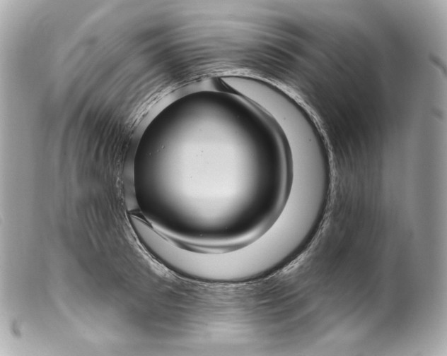 X0000099560897200805301539