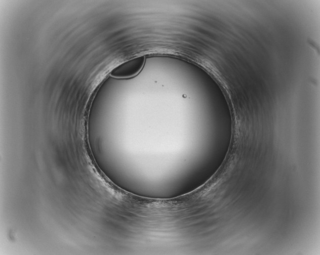 X0000099560898200805301539