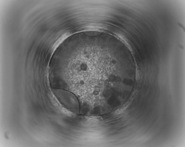 X0000099560899200805301539