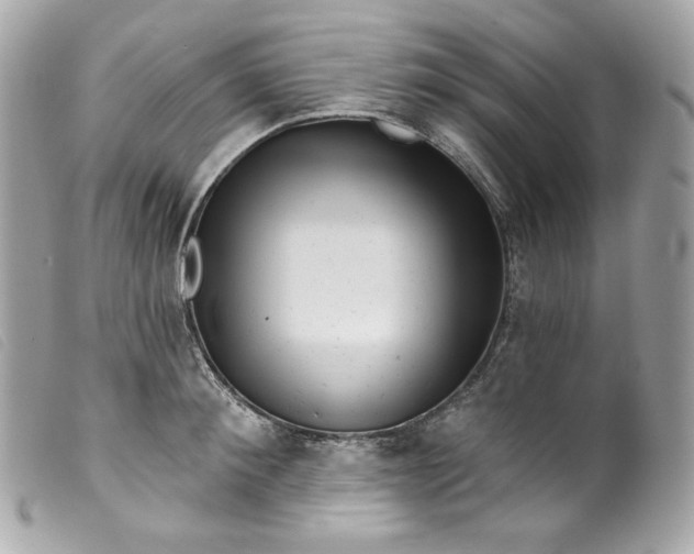 X0000099560900200805301539