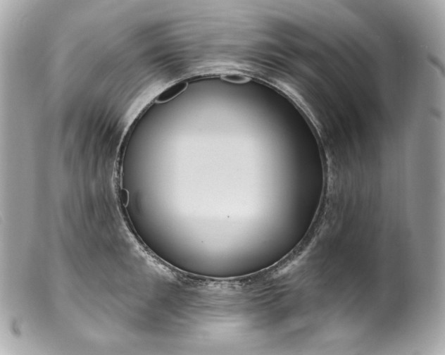 X0000099560901200805301539