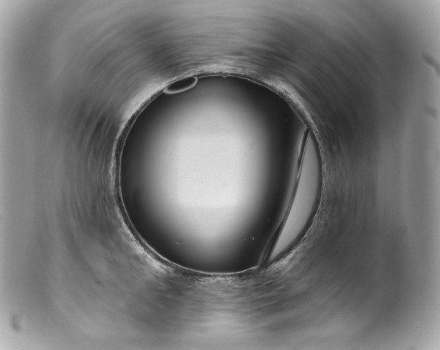 X0000099560902200805301539