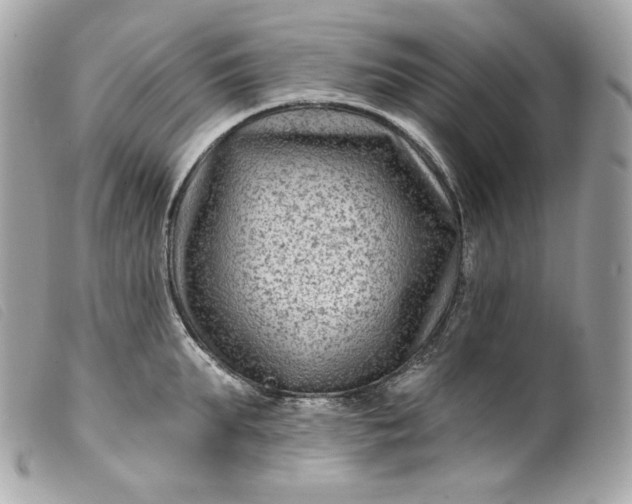 X0000099560903200805301539