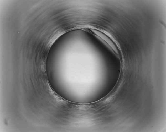 X0000099560905200805301539