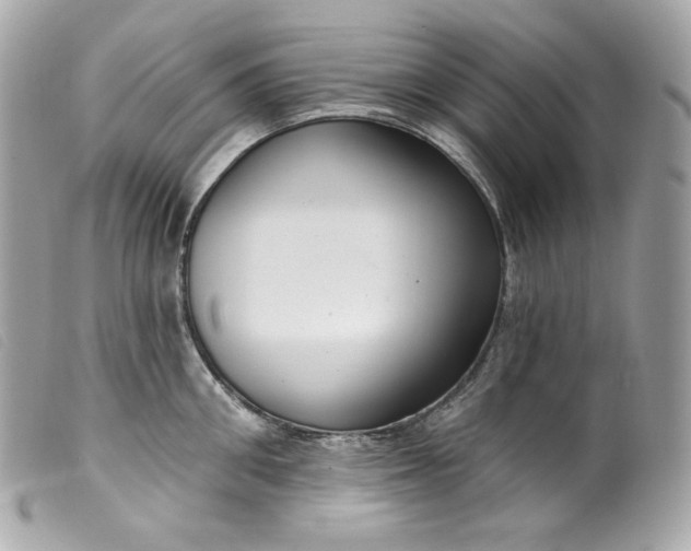 X0000099560906200805301539