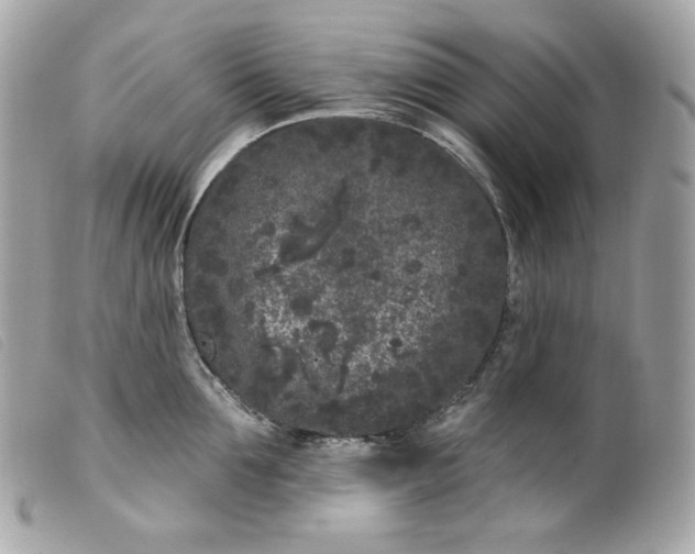 X0000099560907200805301539