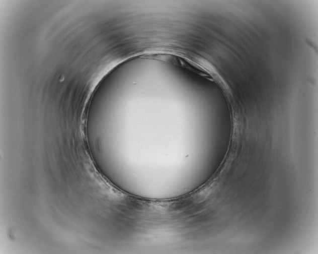 X0000099560908200805301539