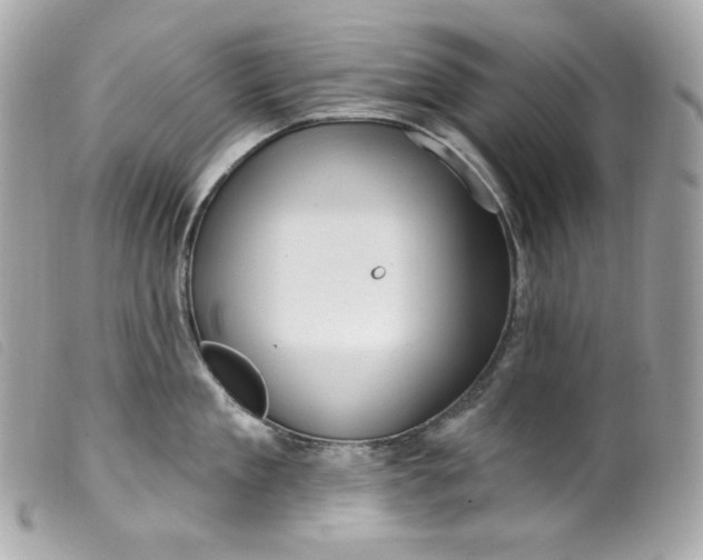 X0000099560909200805301539