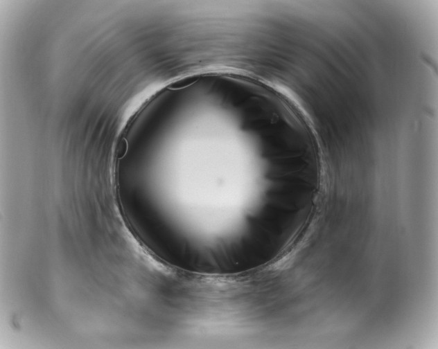 X0000099560910200805301539