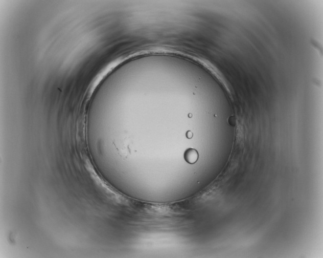 X0000099560911200805301539