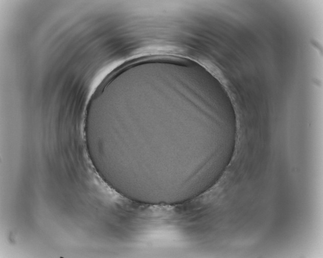 X0000099560912200805301539