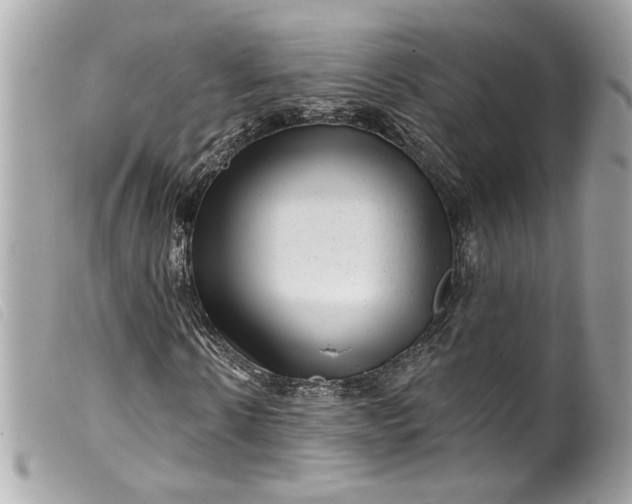 X0000099560914200805301538