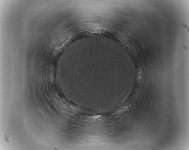 X0000099560916200805301538