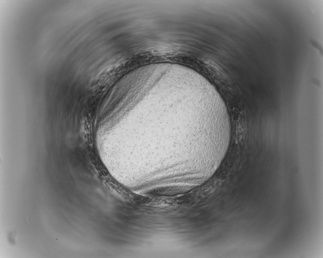 X0000099560917200805301538