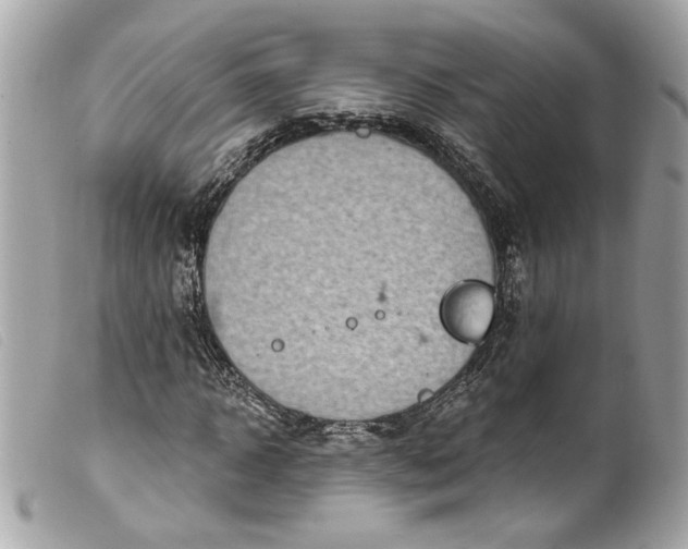 X0000099560918200805301538